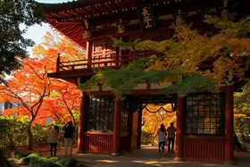 ��t���̂������ߍg�t�X�|�b�g7�I 12���܂Ŋy���߂�I�y2024�z�̋L���T���l�C��