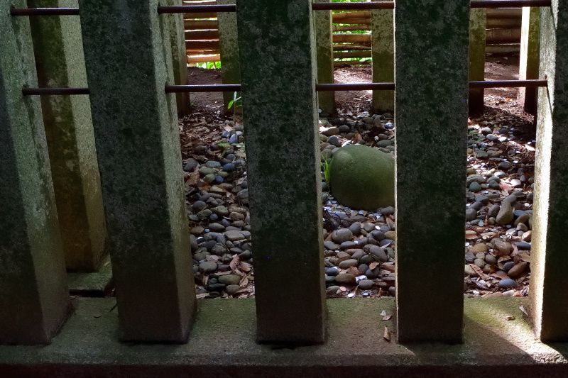 �p���[�X�|�b�g���c�C��