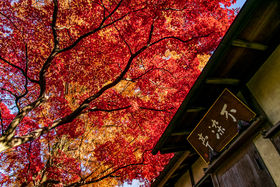 Î̔RԁIgt̖Ezu@v̉fX|bg̋LTlC