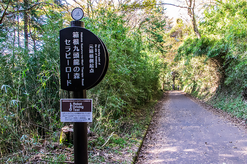 㓪_Ђւ̃ANZX͑zo