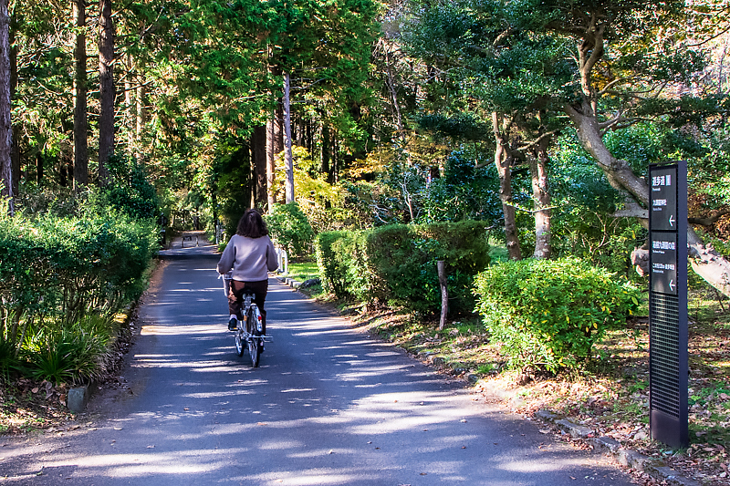 㓪_Ђւ̃ANZX͑zo