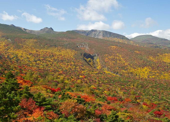 絶景！日本百名山｢安達太良山｣の天空の紅葉じゅうたん（福島）