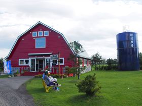 u_~NK[fvŐہI]ʎsxO̔_֑^ڂ̋LTlC