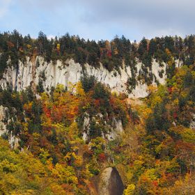 �k�C���u�V�l���v�͐�ǂ��ʂ�g�t���������I�k�J�ɖK���H�����悤�̋L���T���l�C��