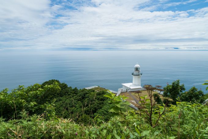 路線バスで行く地球岬 北海道 室蘭市の展望スポットで絶景を見よう 北海道 Lineトラベルjp 旅行ガイド