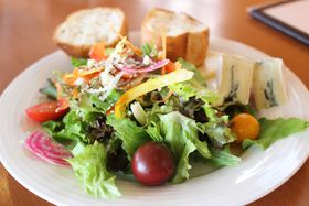 �`�[�Y�D���Ȃ�1�x�͍s�������I�M�B�̑厩�R����ރ`�[�Y�����߂āI�̋L���T���l�C��