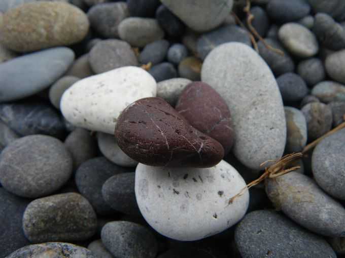 七里御浜の石たち