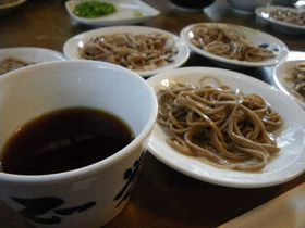 ֐w̋ǂ`o()łΉ͂̋LTlC