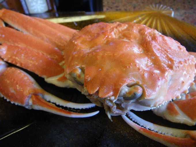 ちょっと贅沢に蟹三昧 夕日ヶ浦温泉郷でカニを食べつくす 京都府 トラベルjp 旅行ガイド