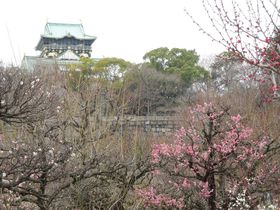 �~�̍���ɗU���đ�������ŏt�������悤�I�̋L���T���l�C��