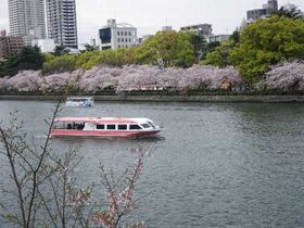 大阪のど真ん中で優雅にお花見〜大川さくらクルーズ