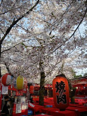 �������₷�I�@�tࣖ��̋��s���̂Q�`�w�k����ǂ�x�ƕ���_�Ђ̋L���T���l�C��