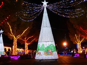 �L���L���Ɠ~�̓�����������w�_�˃C���~�i�[�W���x�D�]�J�Ò��I�̋L���T���l�C��