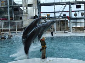 وȏAڎw̌^فw}[hx̋LTlC