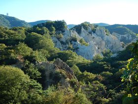 ���b�N�N���C�~���O����X�|�b�g�E���ɂ̖H�������悶�o��I�̋L���T���l�C��