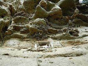 �Ȃ񂾃R���I�s�v�c��ԘA���̃g���b�L���O�E�{��u�o�ΎR(�ڂ낢�����)�v�̋L���T���l�C��