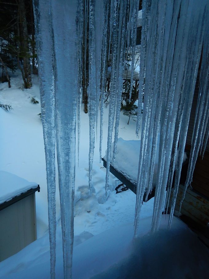 �R�̎��Ԃɋt��킸�c