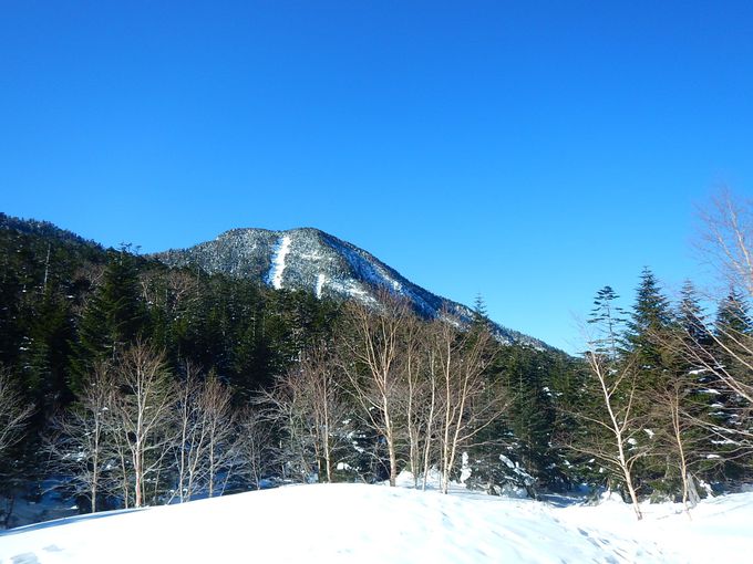 �ڎw���I�����x