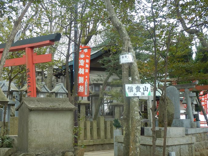 信ずべし貴ぶべき奈良の 信貴山の寅まつり で勝縁を結ぼう 奈良県 Lineトラベルjp 旅行ガイド