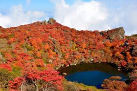 �R���R����I�g�t�̑啪�E�����イ�A�R�c�����@�؉@����ɏh���̋L���T���l�C��