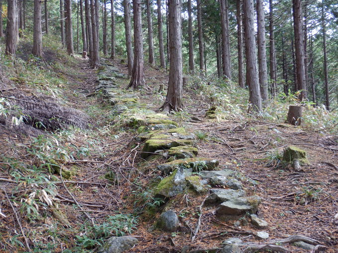 Pڂ͂Q̌Óub({ÊX)vubv