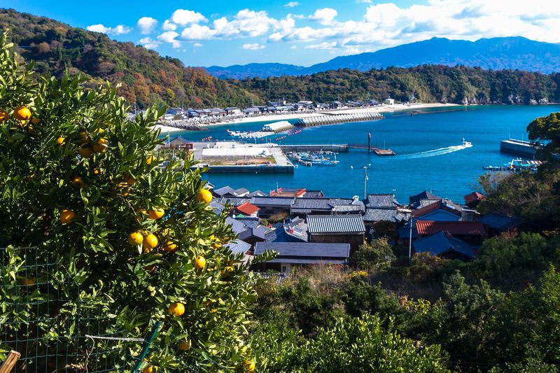古い街並みと柑橘林と島遍路！愛媛県の睦月島は歩いて回るのに最適な島