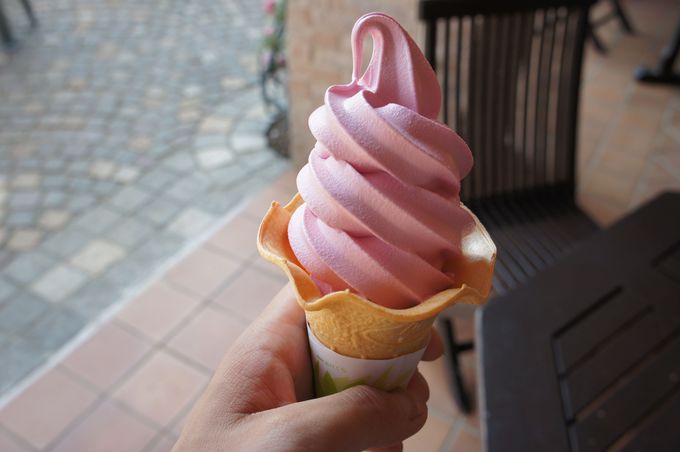 この季節にイチオシのアイスはバラのソフトクリーム