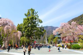 @@̑{RɎ400N̂!REgRv̋LTlC