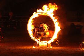 �n�Ɛl�����G���^�[�e�C�����g�I�R���E�����x�z�[�X�V���[�̋L���T���l�C��