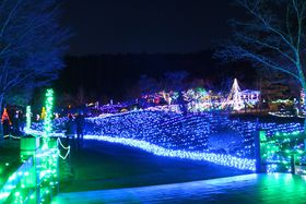 �Ă��~�����ǂ��낢���ς��I�R���E�R���΂̓~�̖��͂S�I�̋L���T���l�C��