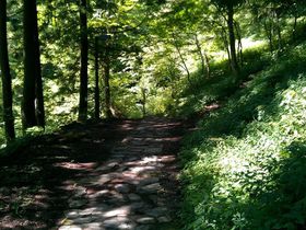 �򕌂̔����n�u����Ƀ���v�ɗ������߂Ă̋L���T���l�C��