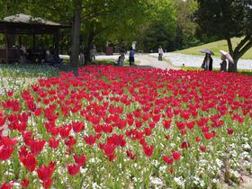 ���ǂ񂾂�����Ȃ����쌧�I���c�]��܂�̂������Ŏl�G�𖡂키�̋L���T���l�C��