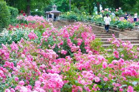 Ԗ؂̕i킪LxIlG킸y߂鑊͌k̖͂̋LTlC