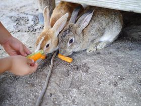 Tόɂ҂ILuv쓇vŗjƂɐGꂠ̋LTlC