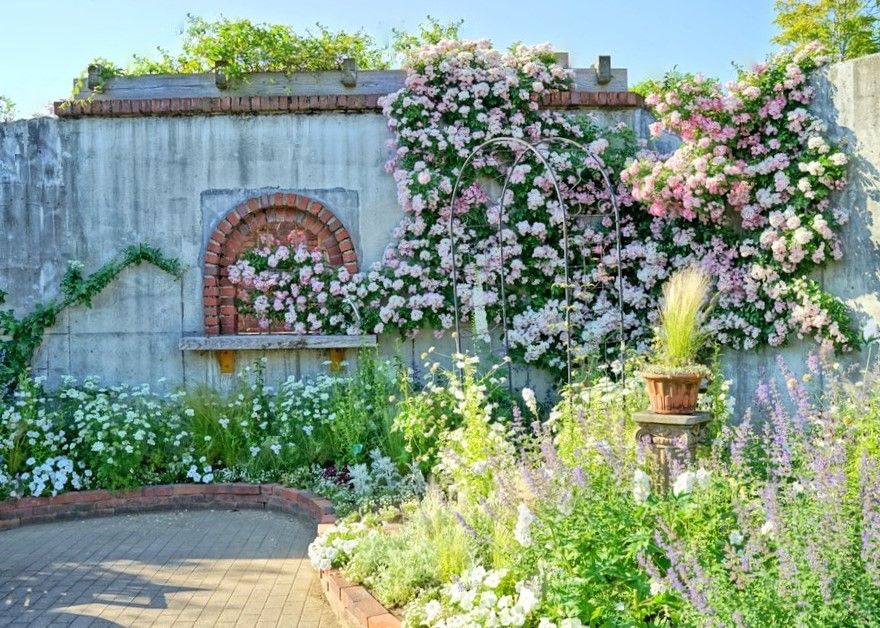 福岡 海の中道海浜公園 で秋の花を満喫 一面のコスモスやコキア 福岡県 トラベルjp 旅行ガイド