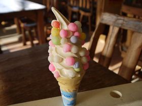 쌧̂nOuœ肨\tgv͐HׂƗǉɁIH̋LTlC