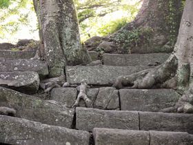 �a�̎R��̐Ί_�ɏՌ��X�N�[�v�I���l���ΊK�i������Ă�I�H�̋L���T���l�C��