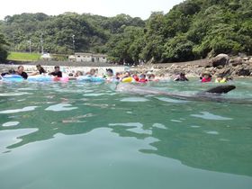 {ŗBIa̎RgNWƉjChƑsɂ߂̋LTlC