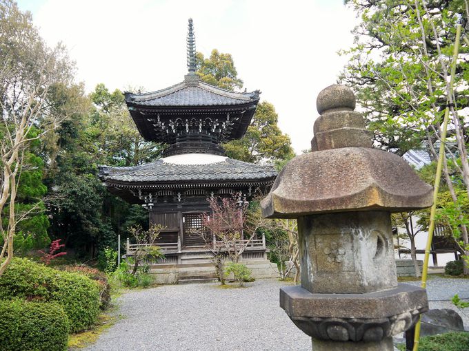 多宝塔を借景とした見事な穴太寺庭園