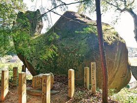 ギョギョ！岐阜中津川の「ふな岩」は長さ12ｍの可愛い巨岩