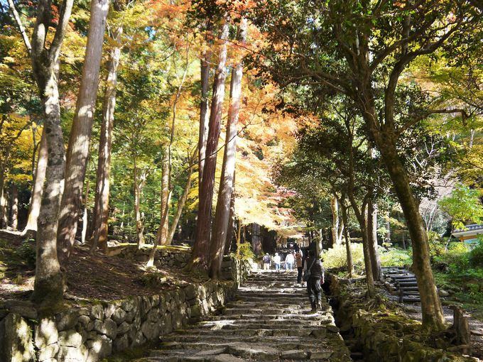 Sώ͎R̍Ō̌`Ay͕̍ŏ̌`