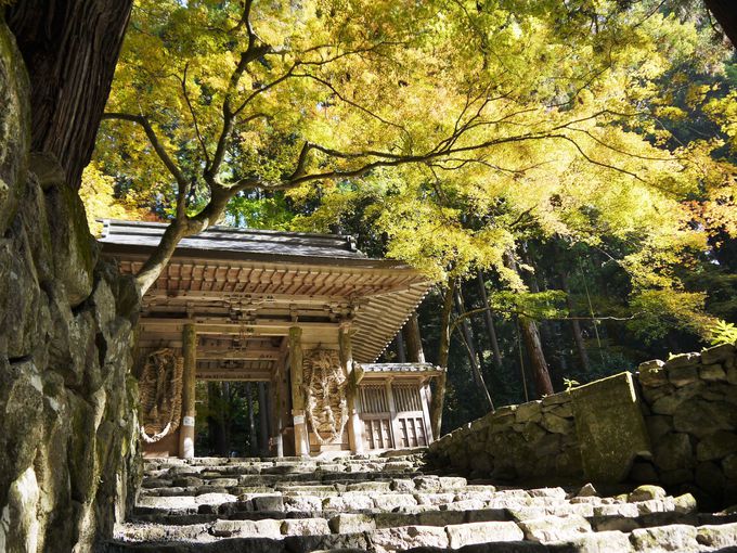 Sώ͎R̍Ō̌`Ay͕̍ŏ̌`