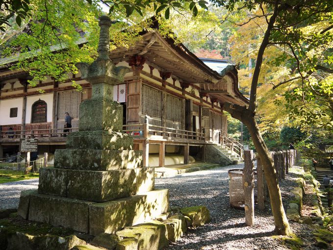 Sώ͎R̍Ō̌`Ay͕̍ŏ̌`