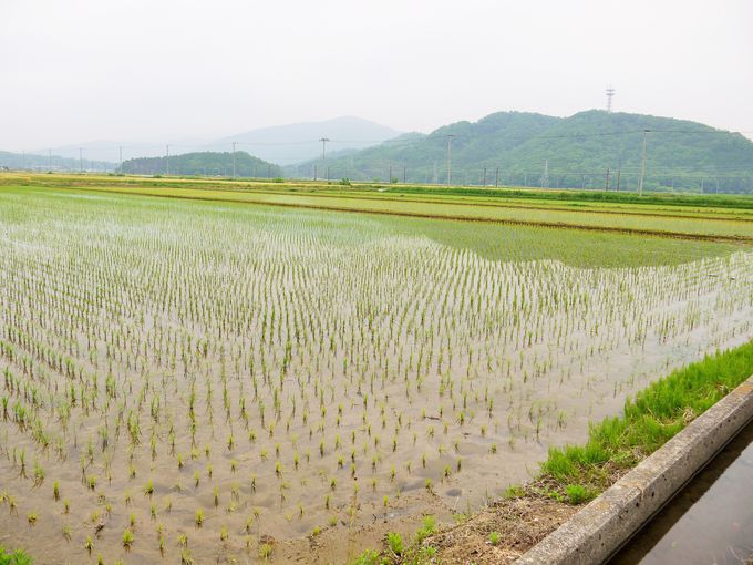 �������đz�����͂邩�ɒ����Ėʔ����I