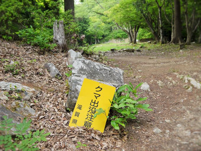 �o��̌Ð��Ղ��珬�J��Ղ�