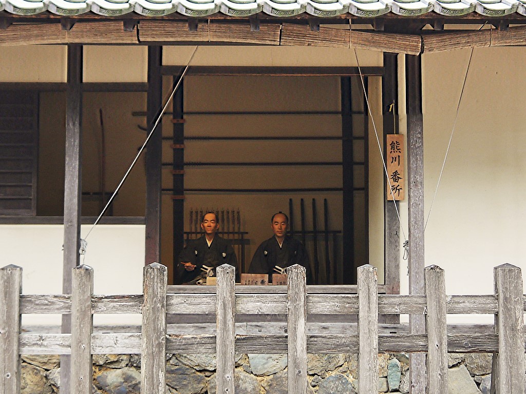 �d�v�`���I�������Q�ۑ��n��I�F��h�̌F��ԏ�