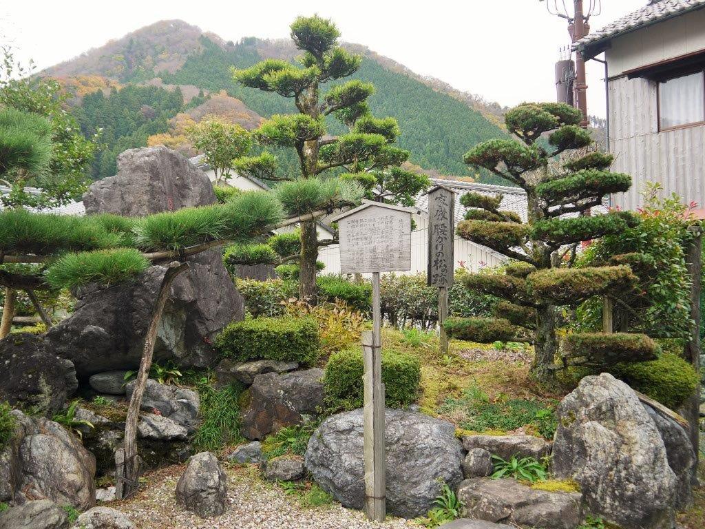 ���q���G�ƍא�H�ւƊ֌W�[���F��h�̌��ǂ���