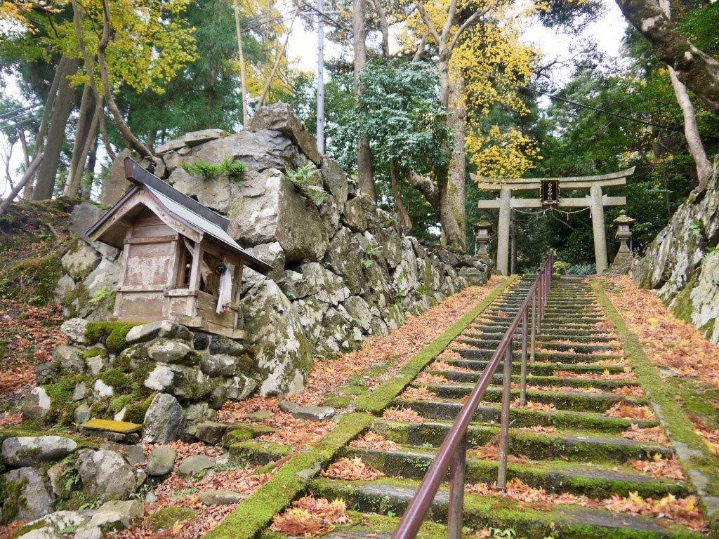 ���q���G�ƍא�H�ւƊ֌W�[���F��h�̌��ǂ���