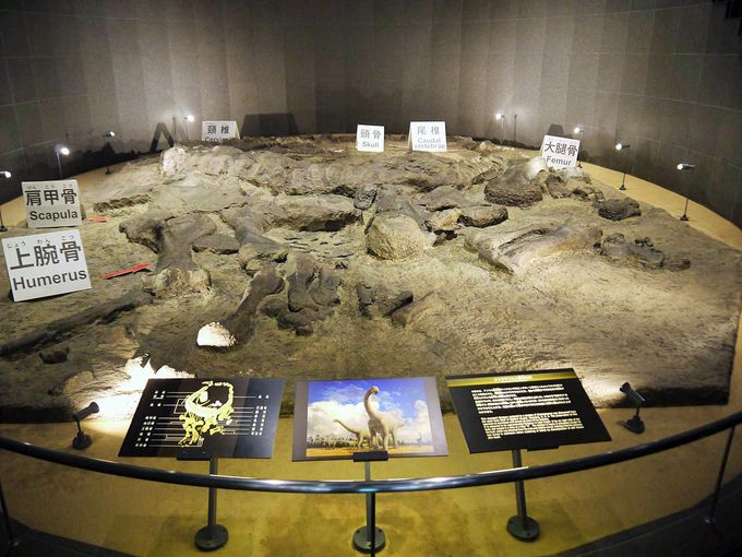 世界3大恐竜博物館の一つ「福井県立恐竜博物館」へ