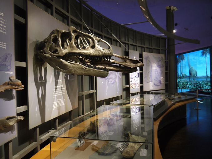 福井県立恐竜博物館が超おもしろい 太古の世界へタイムスリップ 福井県 トラベルjp 旅行ガイド